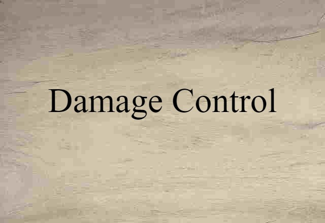 Damage Control (noun) Definition, Meaning & Examples