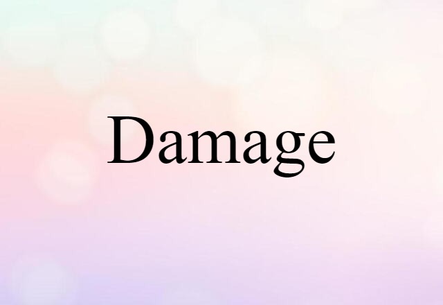 Damage (noun) Definition, Meaning & Examples