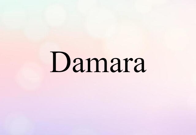 Damara