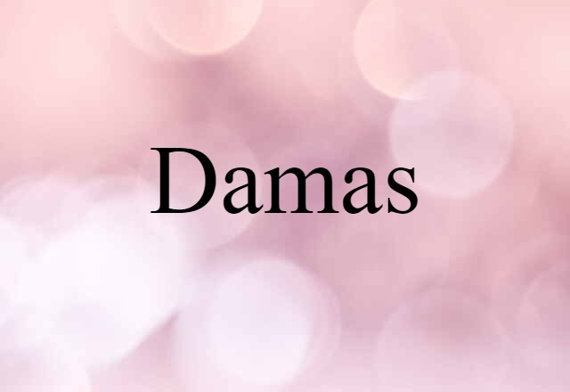 Damas (noun) Definition, Meaning & Examples