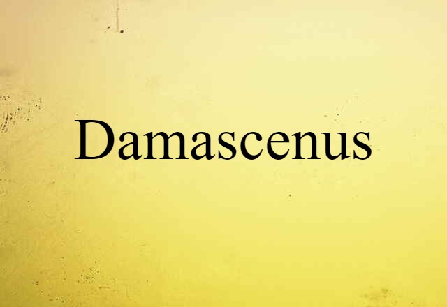 Damascenus (noun) Definition, Meaning & Examples