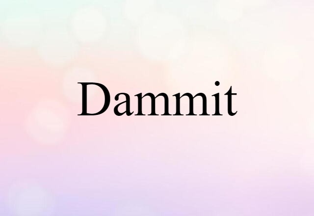 Dammit (noun) Definition, Meaning & Examples