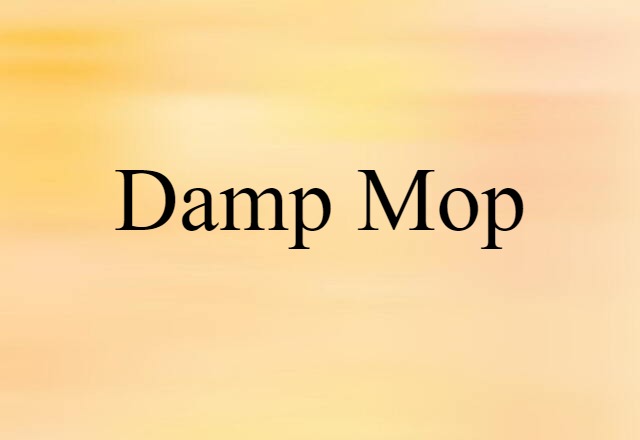 damp mop