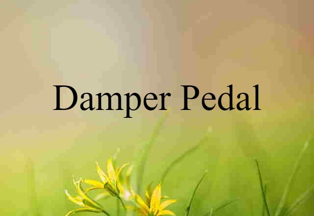 damper pedal