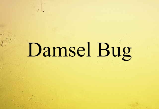 Damsel Bug (noun) Definition, Meaning & Examples