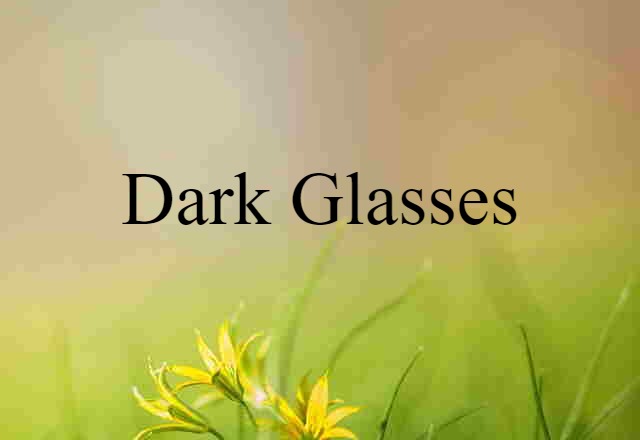 Dark Glasses (noun) Definition, Meaning & Examples