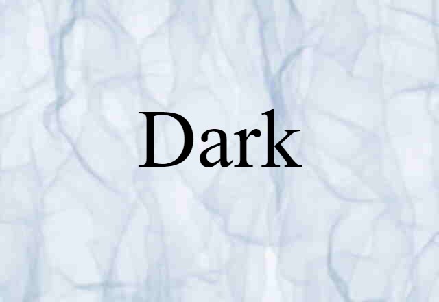 Dark (noun) Definition, Meaning & Examples