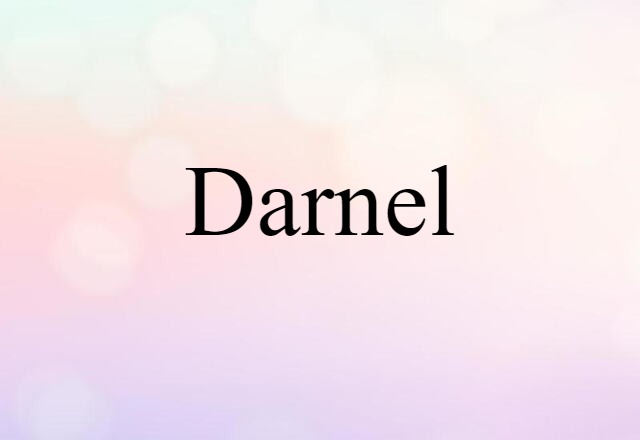 Darnel (noun) Definition, Meaning & Examples