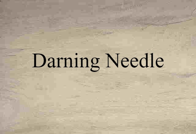 darning needle