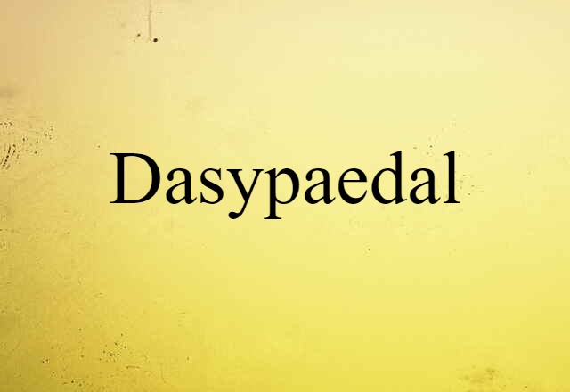 dasypaedal