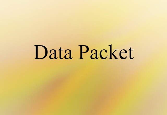 Data Packet (noun) Definition, Meaning & Examples