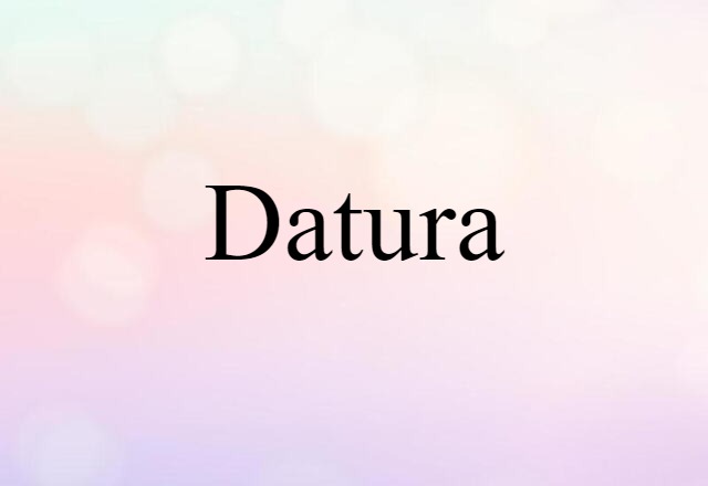 Datura (noun) Definition, Meaning & Examples