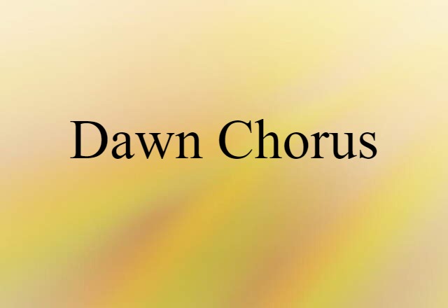 dawn chorus