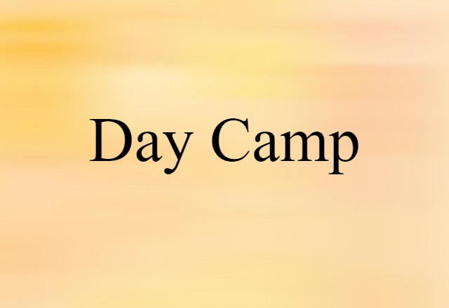 Day Camp (noun) Definition, Meaning & Examples