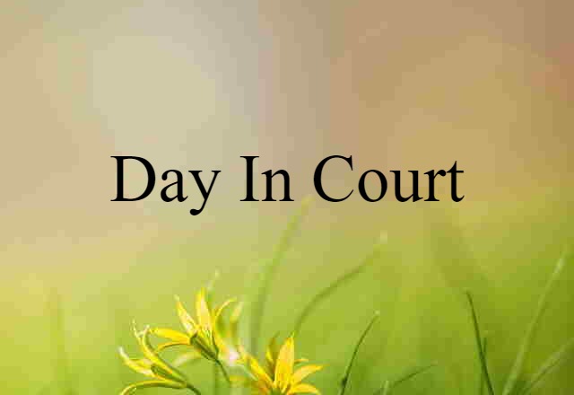 Day In Court (noun) Definition, Meaning & Examples