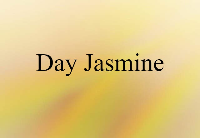 Day Jasmine (noun) Definition, Meaning & Examples