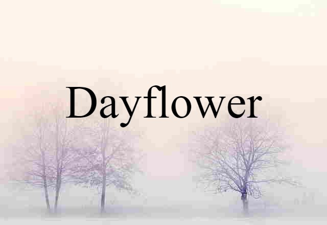 Dayflower (noun) Definition, Meaning & Examples