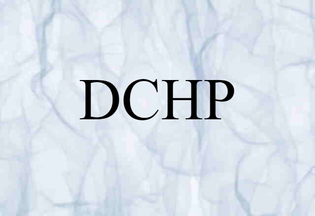 DCHP (noun) Definition, Meaning & Examples