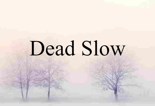 Dead Slow (noun) Definition, Meaning & Examples