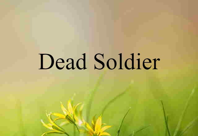 dead soldier