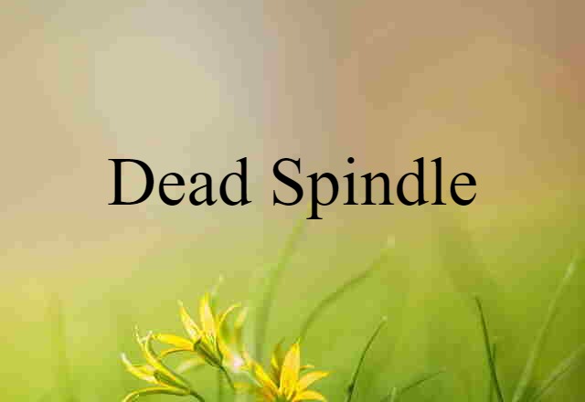 Dead Spindle (noun) Definition, Meaning & Examples