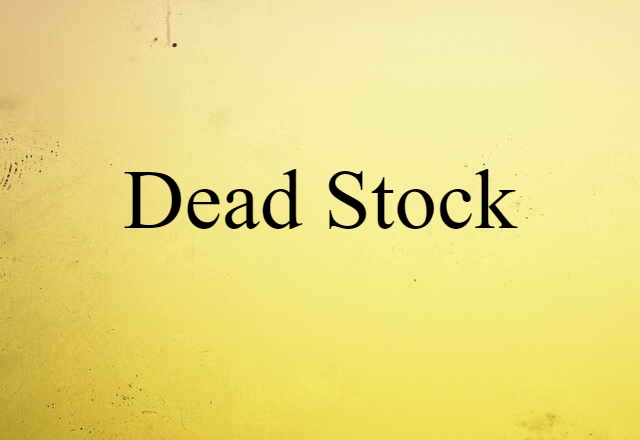 Dead Stock (noun) Definition, Meaning & Examples