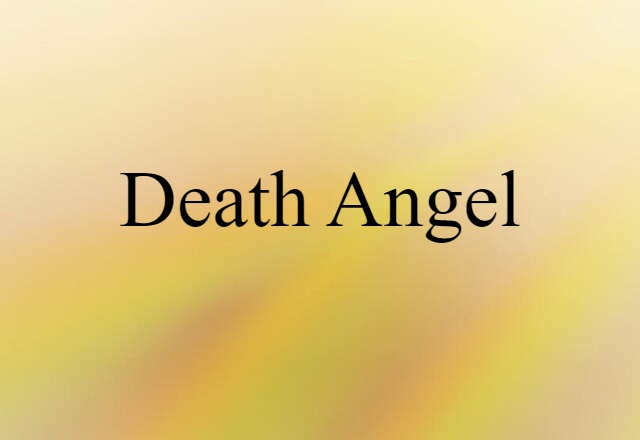 Death Angel (noun) Definition, Meaning & Examples