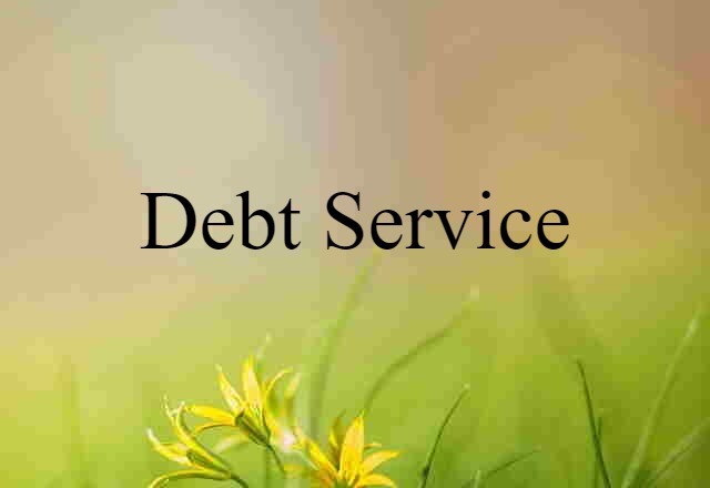 debt service