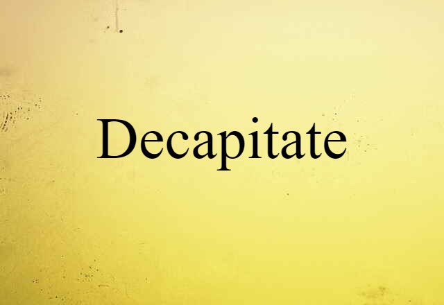 Decapitate (noun) Definition, Meaning & Examples