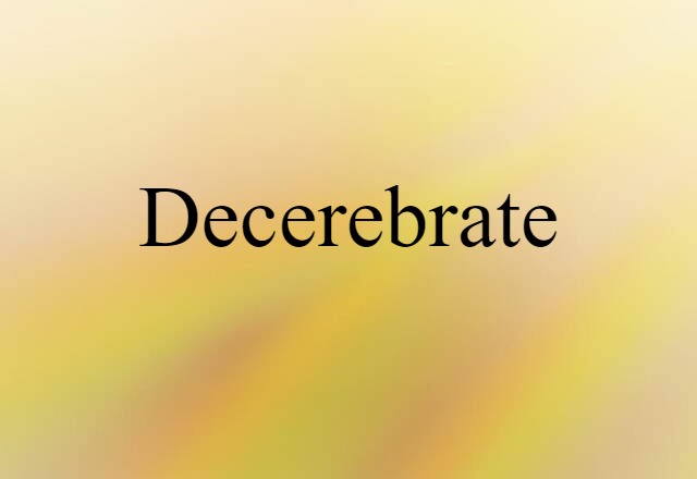 Decerebrate (noun) Definition, Meaning & Examples