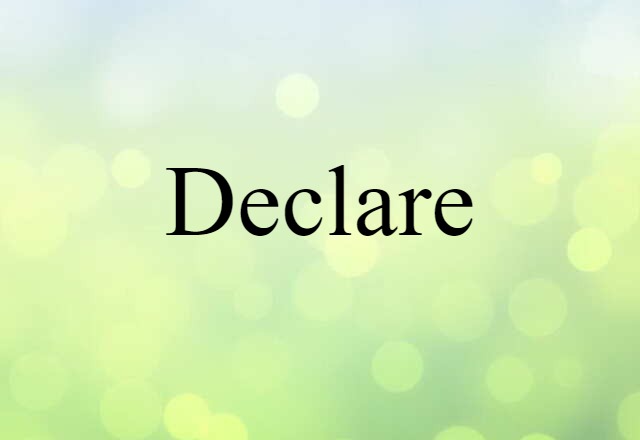 Declare (noun) Definition, Meaning & Examples