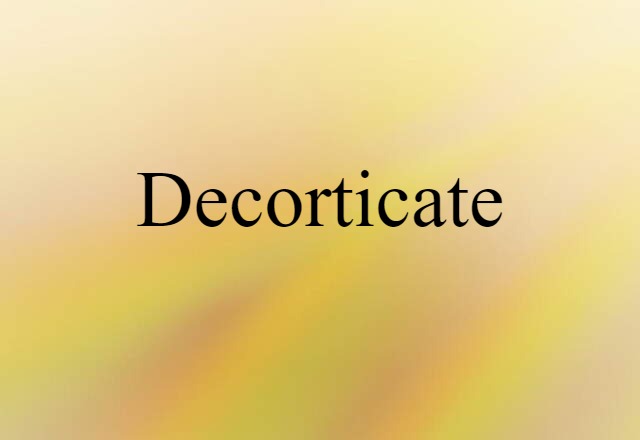 Decorticate (noun) Definition, Meaning & Examples