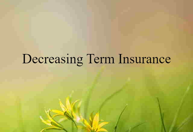 decreasing term insurance