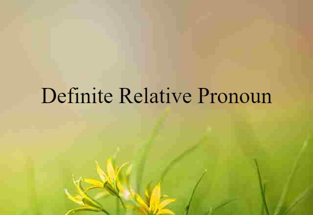 definite relative pronoun