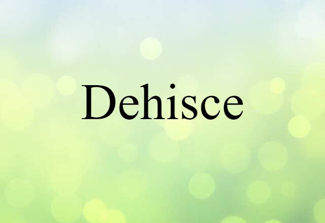 Dehisce (noun) Definition, Meaning & Examples