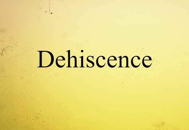 dehiscence