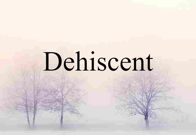 dehiscent