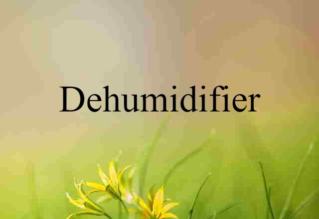 dehumidifier