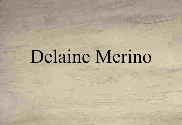 Delaine Merino