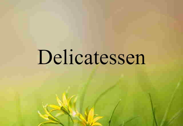 Delicatessen (noun) Definition, Meaning & Examples