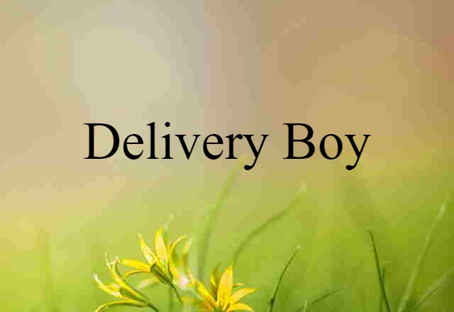 delivery boy