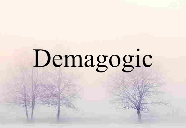 Demagogic (noun) Definition, Meaning & Examples