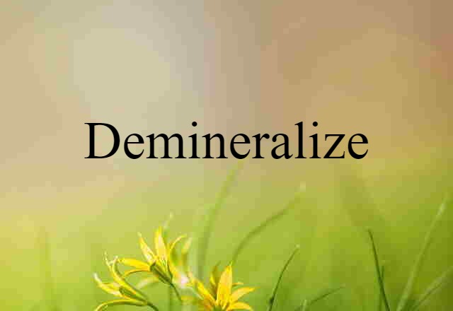 Demineralize (noun) Definition, Meaning & Examples