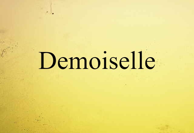 Demoiselle (noun) Definition, Meaning & Examples