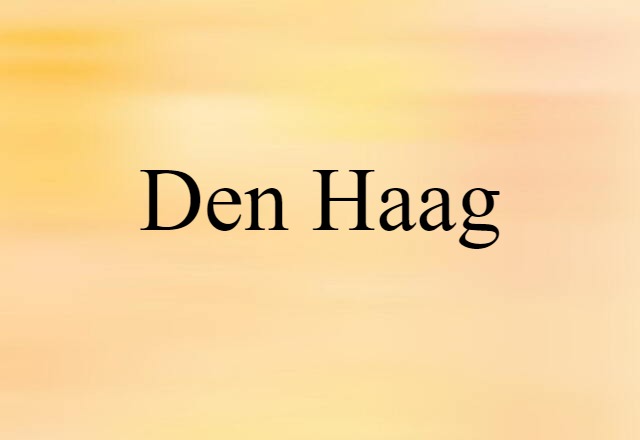 Den Haag (noun) Definition, Meaning & Examples