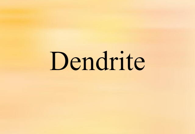 dendrite