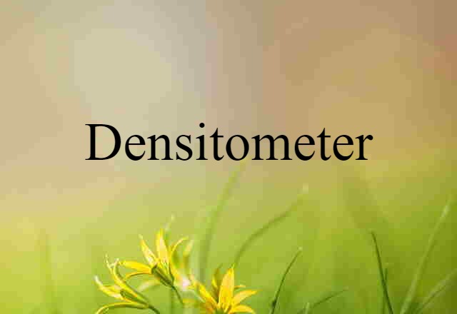 Densitometer (noun) Definition, Meaning & Examples