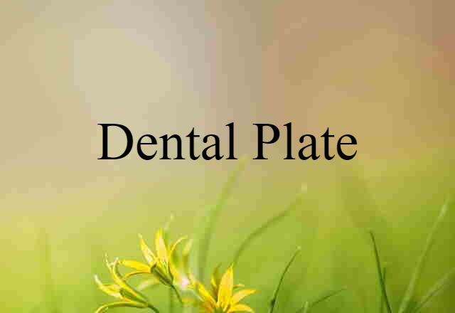 Dental Plate (noun) Definition, Meaning & Examples