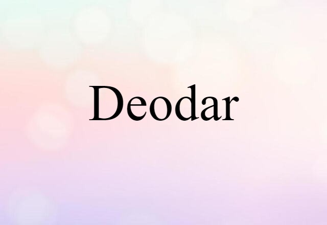 Deodar (noun) Definition, Meaning & Examples