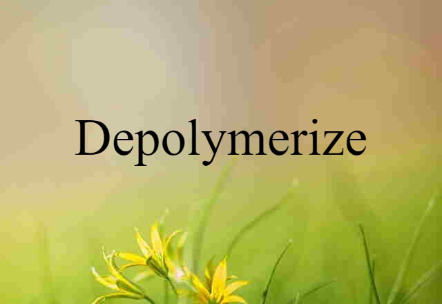 depolymerize